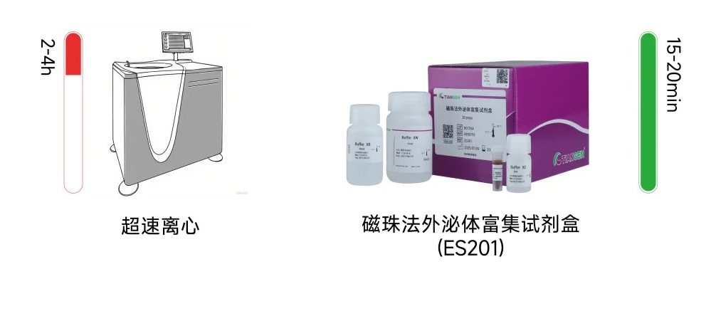 星空官方网页版-星空online(中国)
磁珠法外泌体富集试剂盒优势总览图